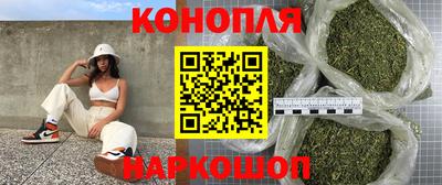 сатива Шелехов