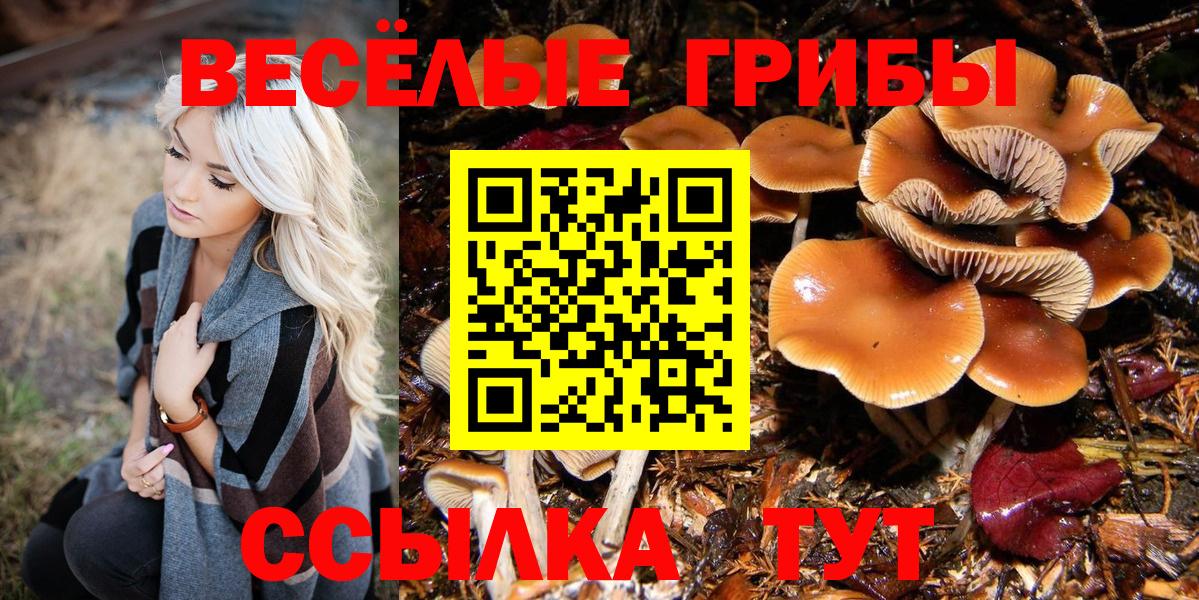 Псилоцибиновые грибы мицелий  Вход с VPN  Псилоцибиновые грибы ЛСД  Мичуринск 